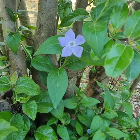 Ubytování v soukromí Avventure Tra I Trulli Martina Franca