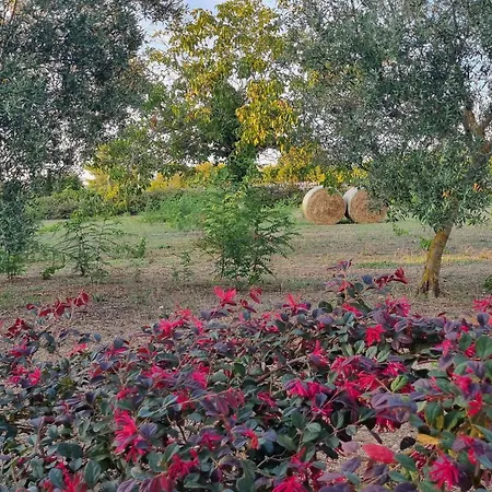 Avventure Tra I Trulli * Martina Franca