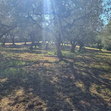 Avventure Tra I Trulli מרטינה פרנקה