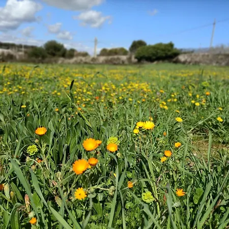 ホームステイ Avventure Tra I Trulli