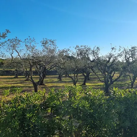 Avventure Tra I Trulli Séjour chez l'habitant