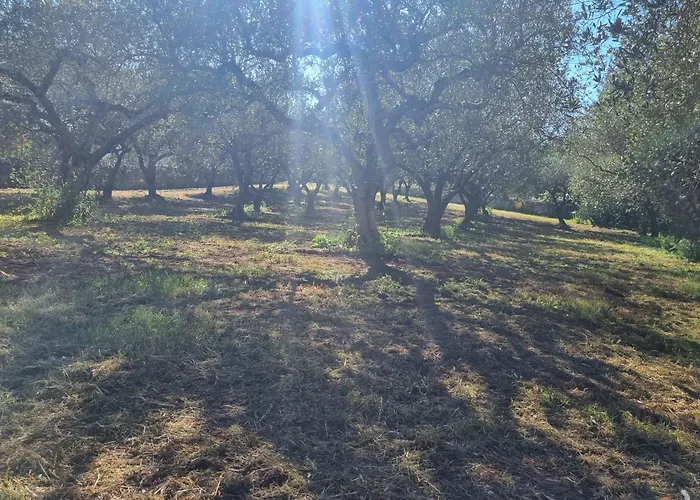 Avventure Tra I Trulli Martina Franca