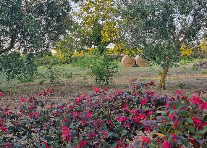 Avventure Tra I Trulli * Martina Franca